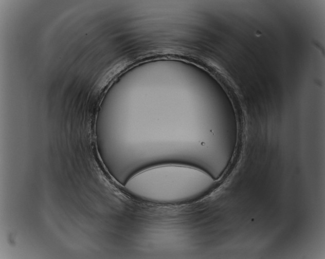 X0000102020977200807180939