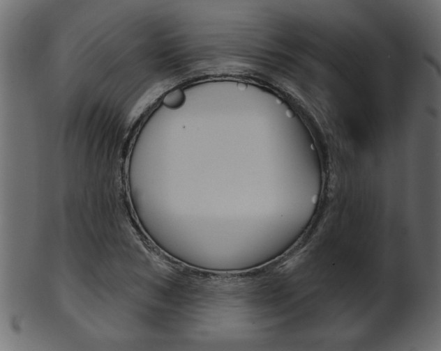 X0000102020978200807180939