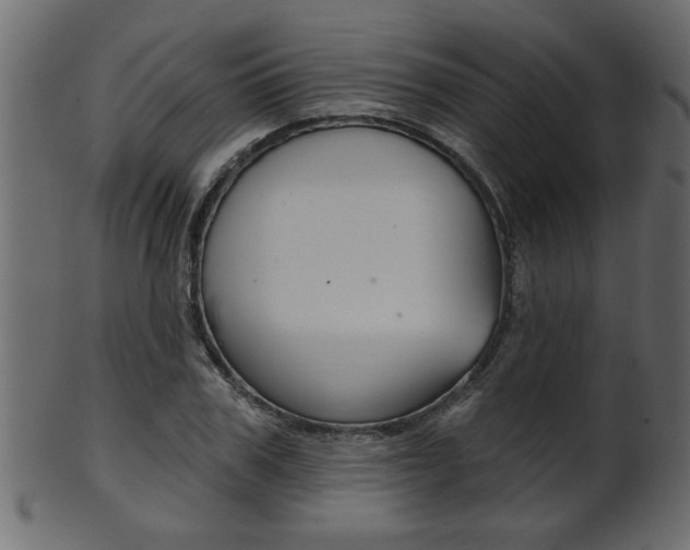 X0000102020979200807180939