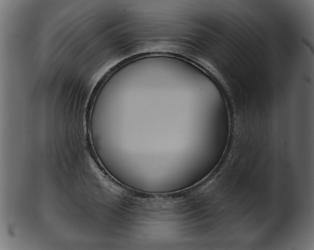 X0000102020980200807180939