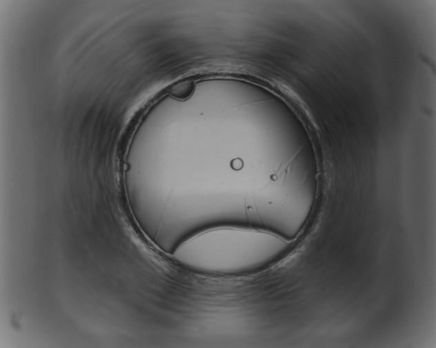 X0000102020981200807180939