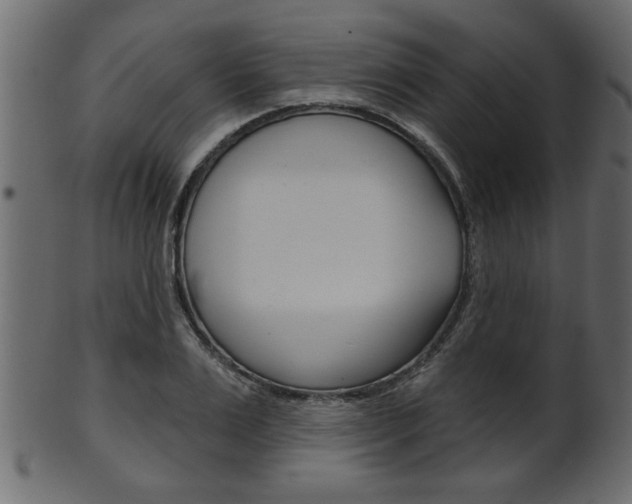 X0000102020983200807180939