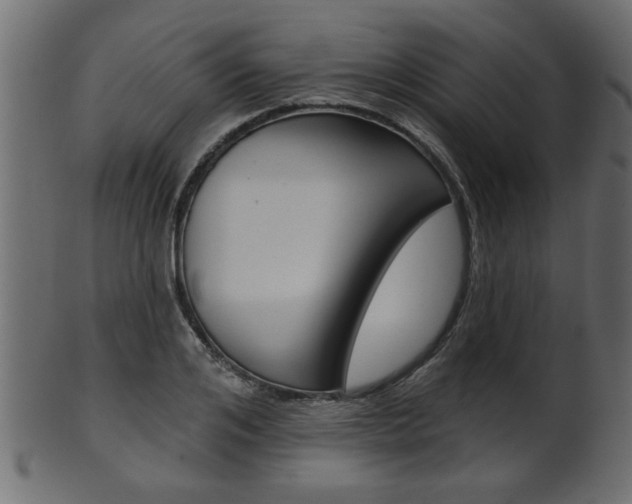 X0000102020984200807180939