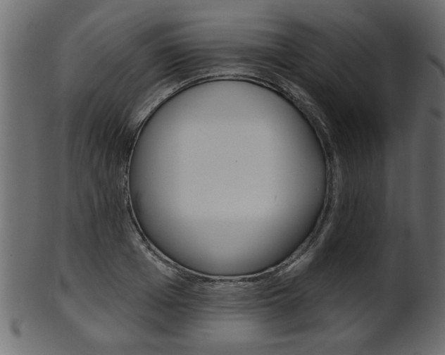 X0000102020985200807180939