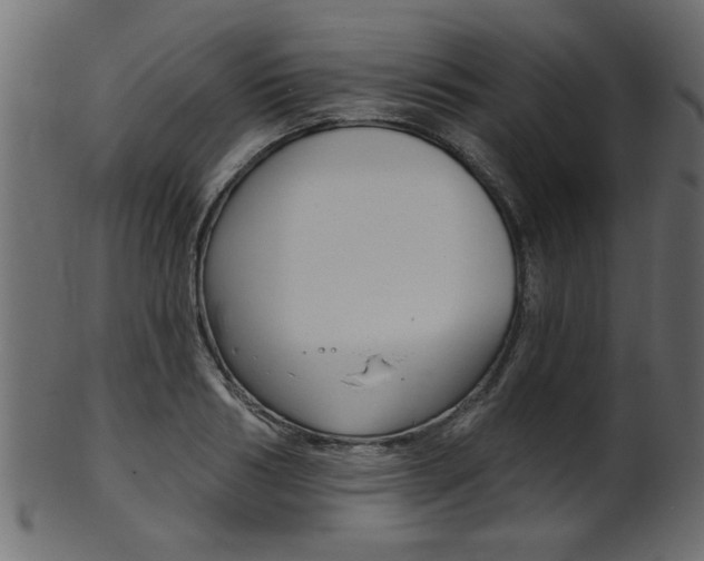 X0000102020986200807180939