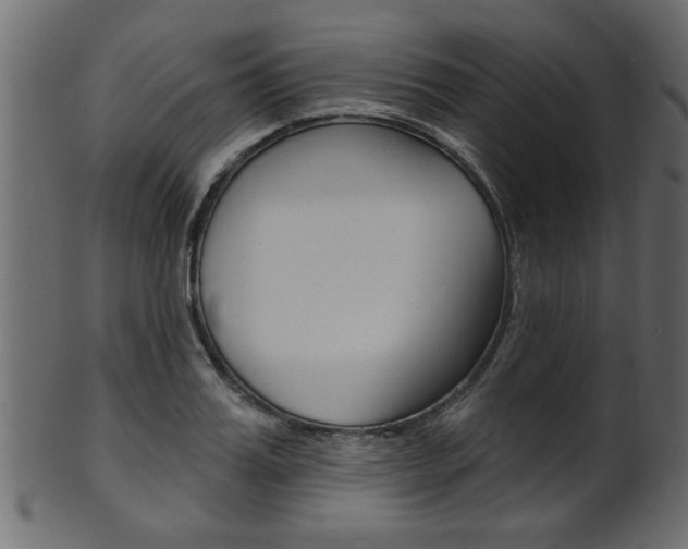 X0000102020987200807180939