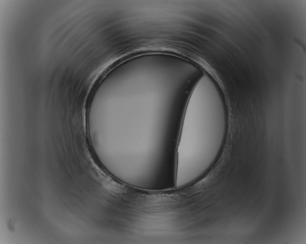 X0000102020988200807180939