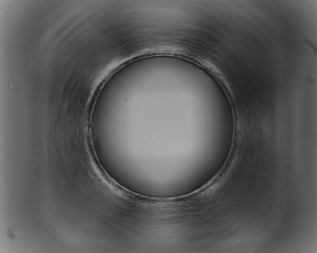 X0000102020989200807180939