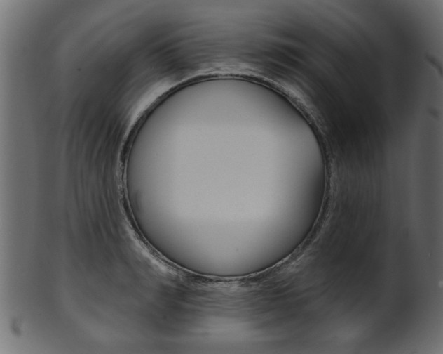 X0000102020990200807180939