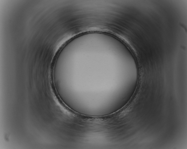 X0000102020991200807180939