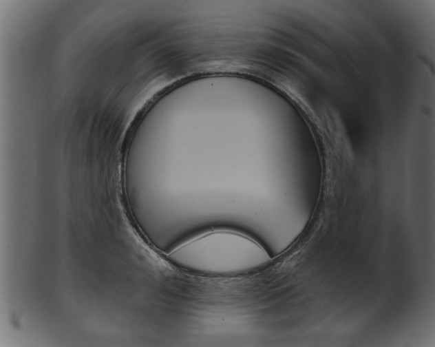 X0000102020992200807180939