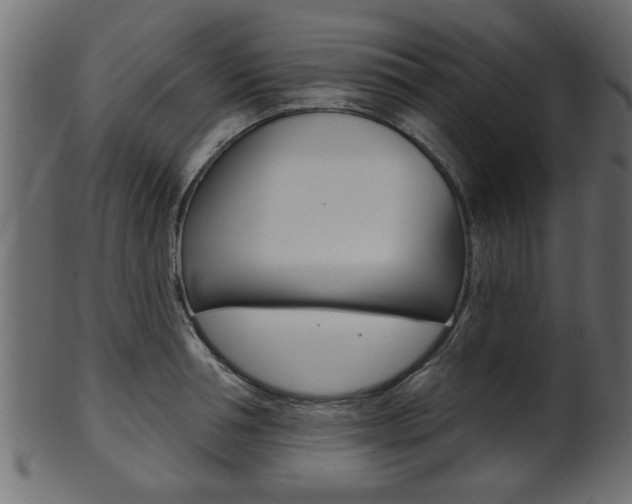 X0000102020994200807180939