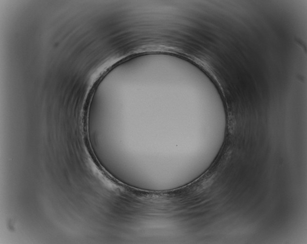 X0000102020995200807180939