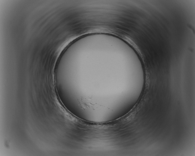 X0000102020996200807180939