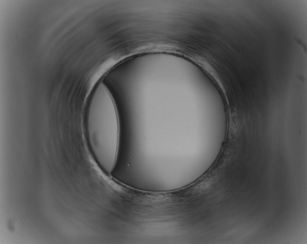 X0000102020997200807180939