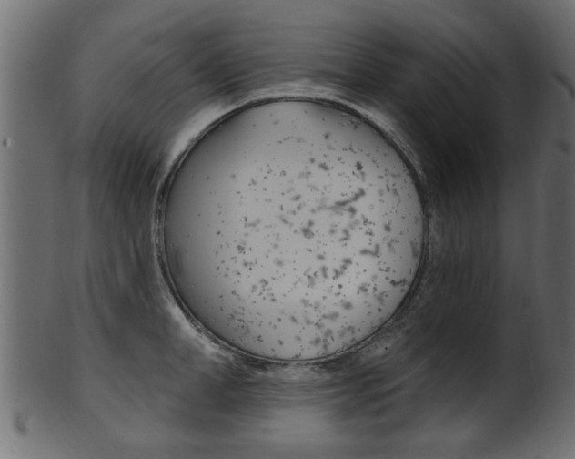 X0000102020998200807180939