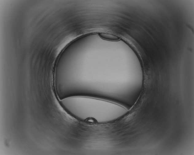 X0000102020999200807180939