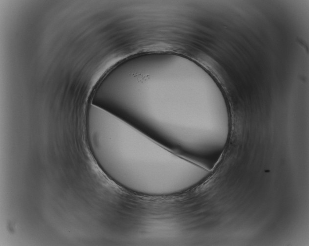 X0000102021000200807180939
