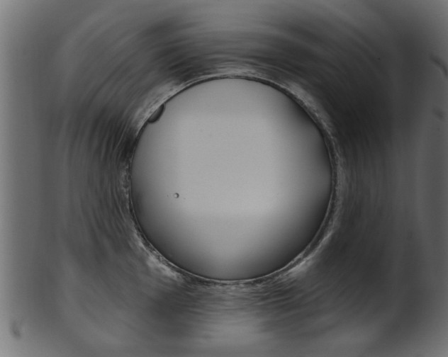 X0000102021001200807180939