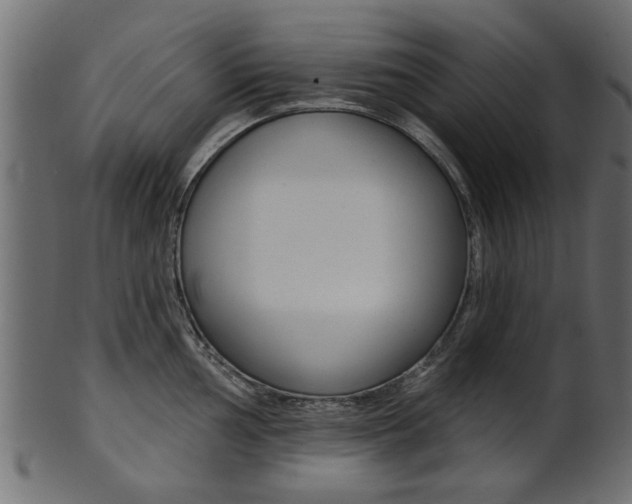 X0000102021002200807180939