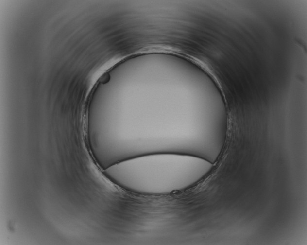 X0000102021003200807180939