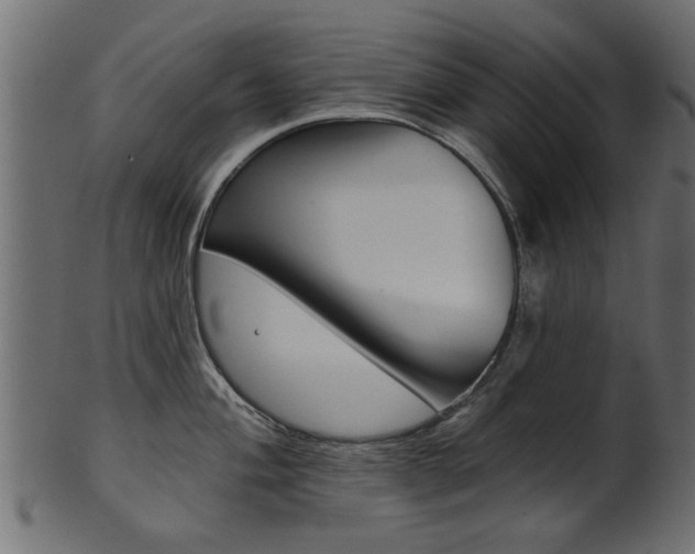 X0000102021004200807180939