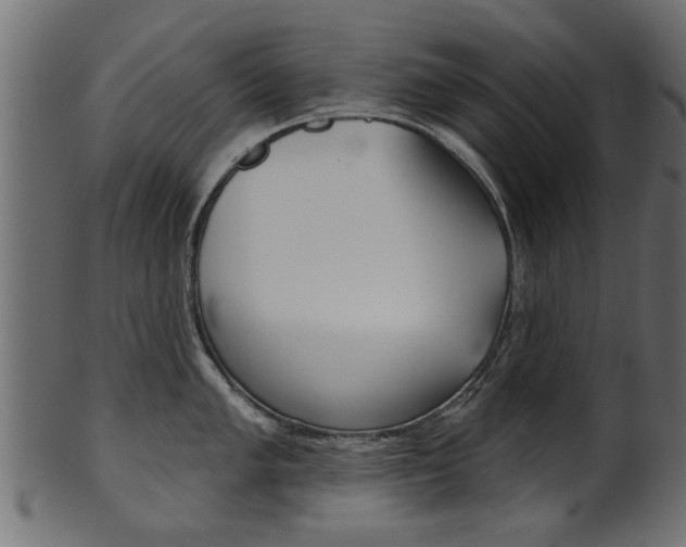 X0000102021005200807180939