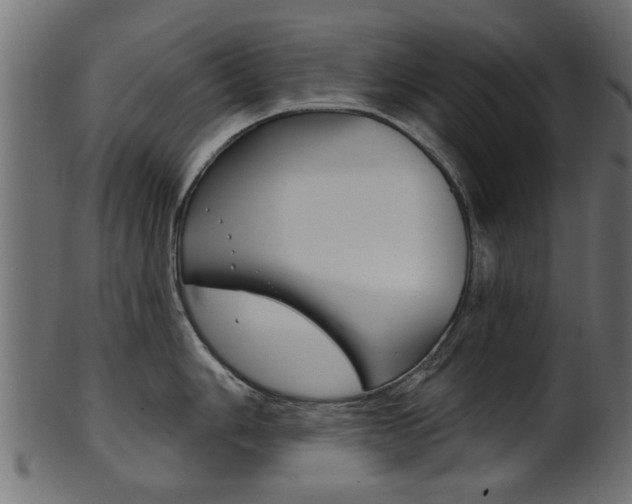 X0000102021006200807180939