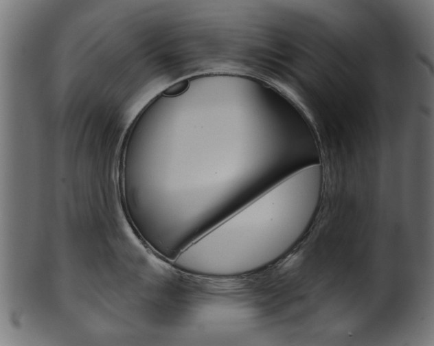 X0000102021007200807180939