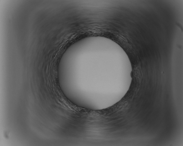 X0000102021009200807180938