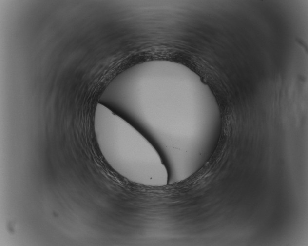 X0000102021010200807180938