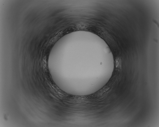 X0000102021011200807180938