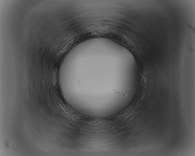 X0000102021012200807180938