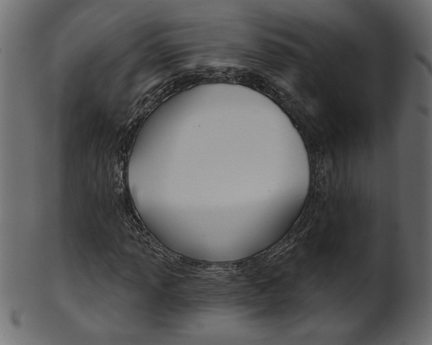 X0000102021013200807180938