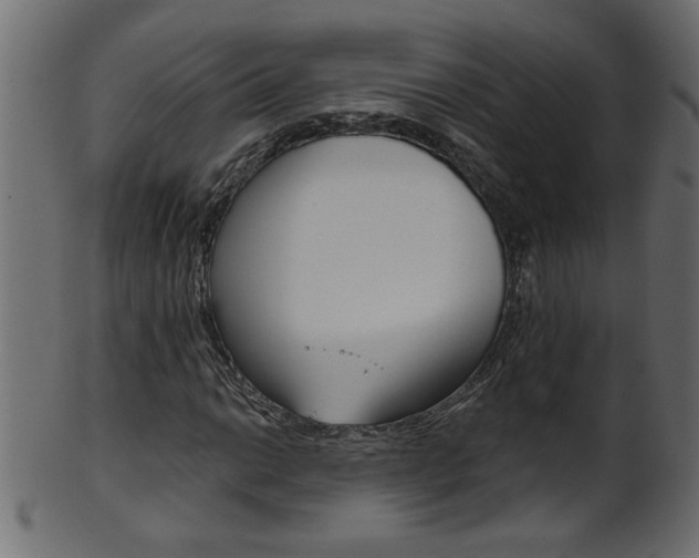 X0000102021014200807180938