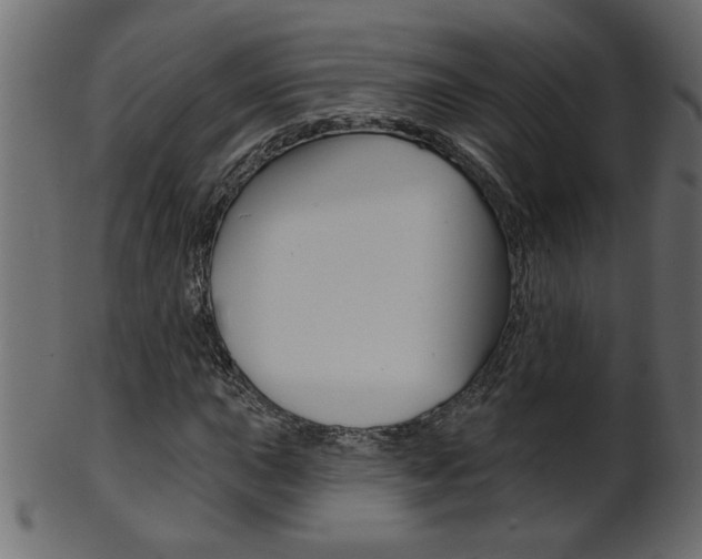 X0000102021015200807180938