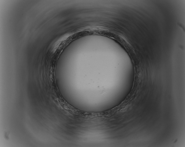 X0000102021016200807180938