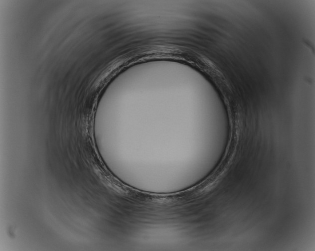X0000102021017200807180938