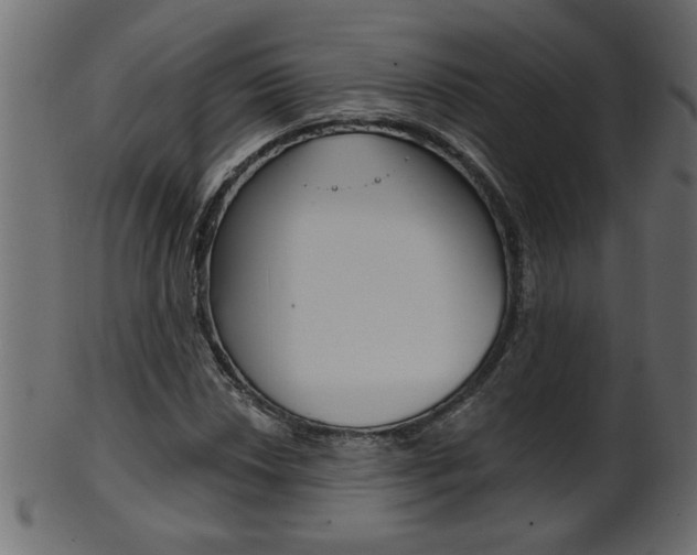 X0000102021018200807180938