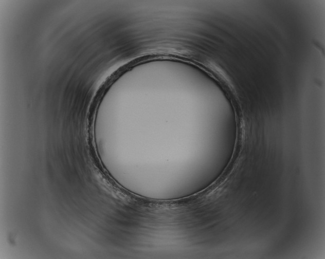 X0000102021020200807180938