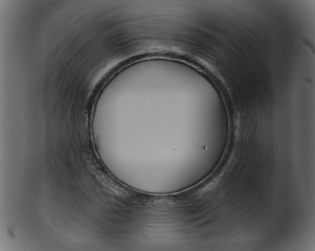 X0000102021021200807180938