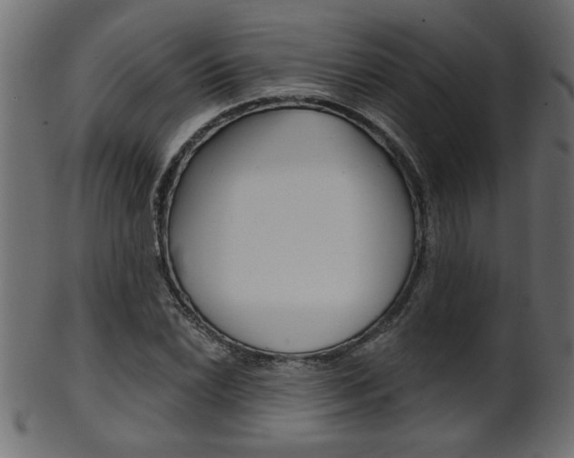 X0000102021022200807180938