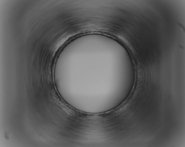 X0000102021023200807180938