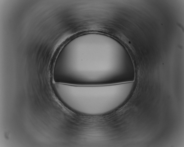 X0000102021024200807180938