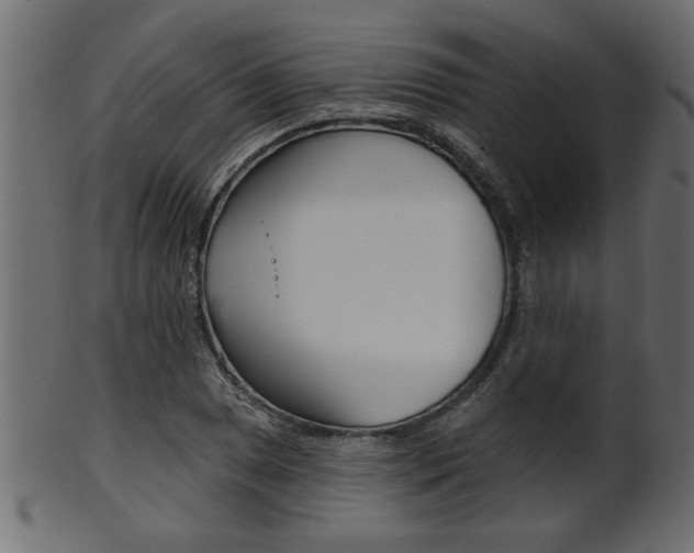 X0000102021025200807180938