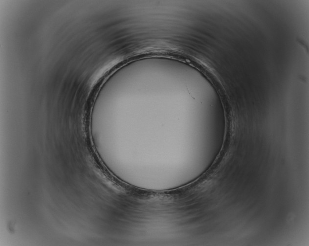 X0000102021026200807180938