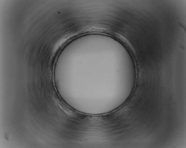 X0000102021027200807180938