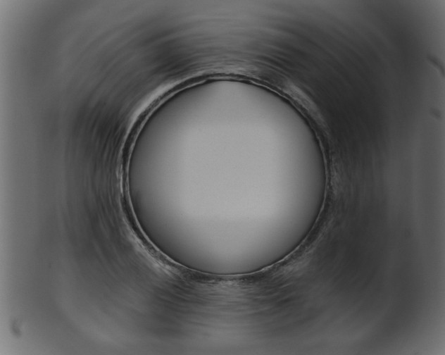 X0000102021028200807180938