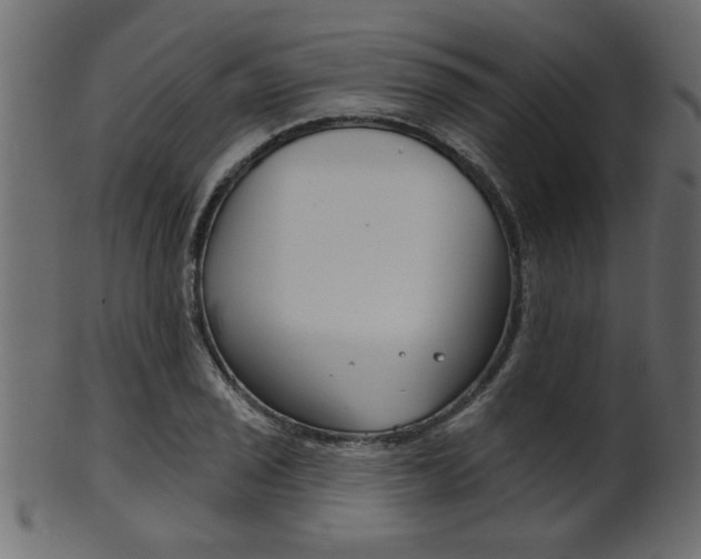 X0000102021029200807180938