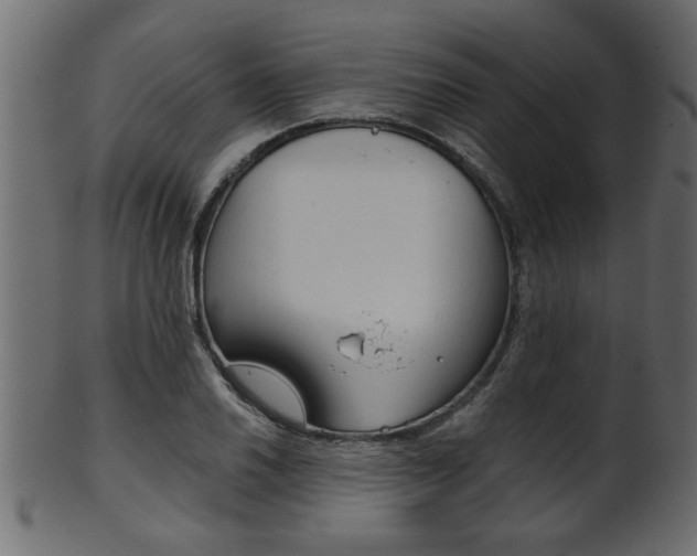 X0000102021030200807180938